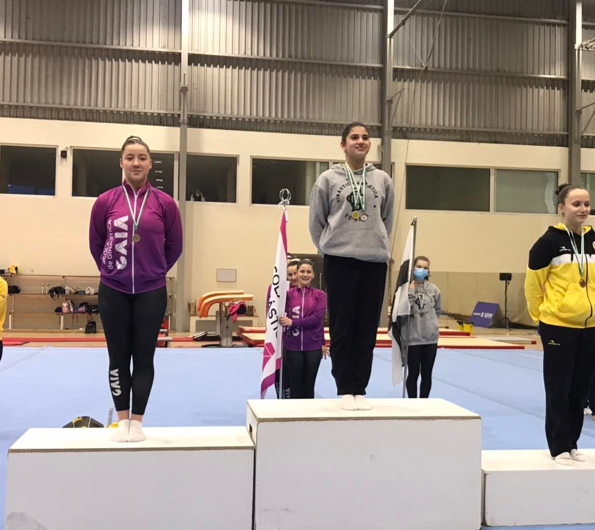 ginástica