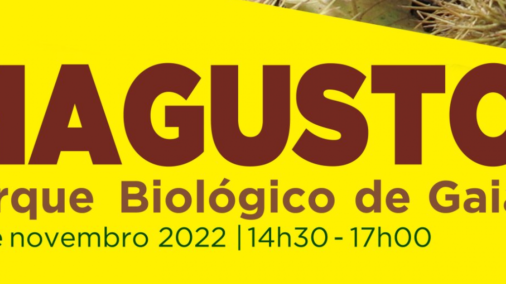 magusto no parque biológico de gaia 
