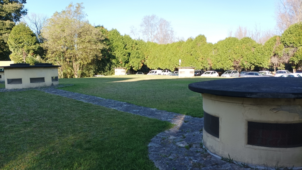 Fv