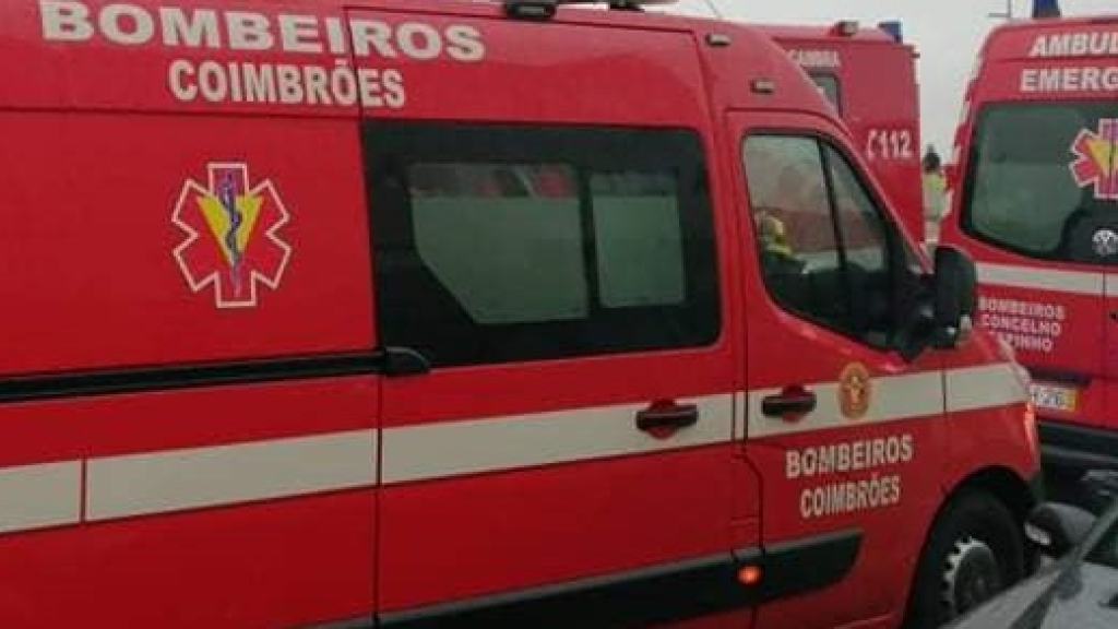 BV Coimbroes