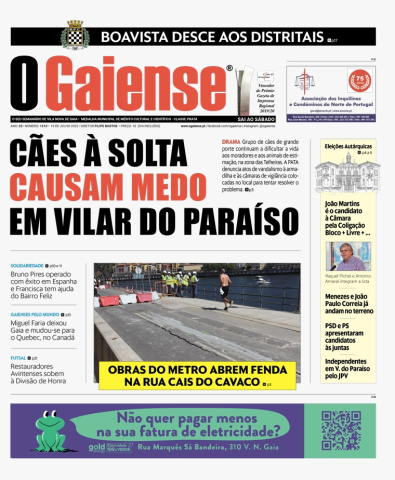 Capa 1213